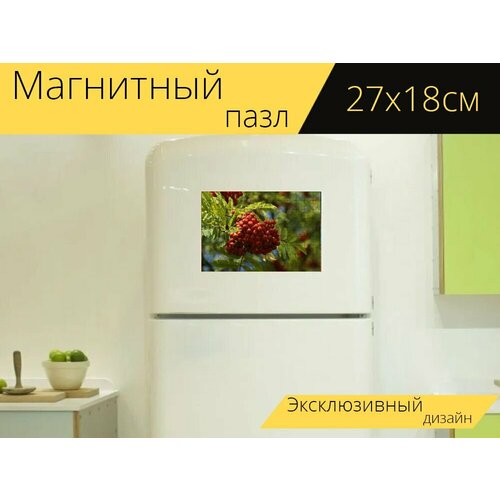 Магнитный пазл Рябина, ягода, ягоды рябины на холодильник 27 x 18 см.