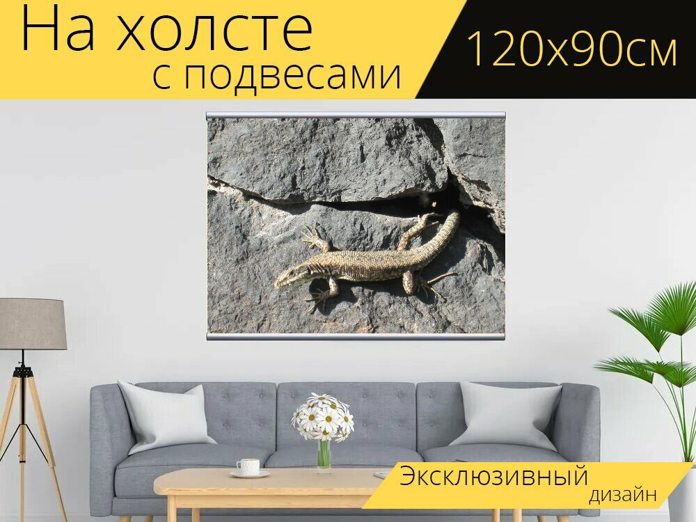 Картина на холсте "Ящерица, животное, посмотреть" с подвесами 120х90 см. для интерьера