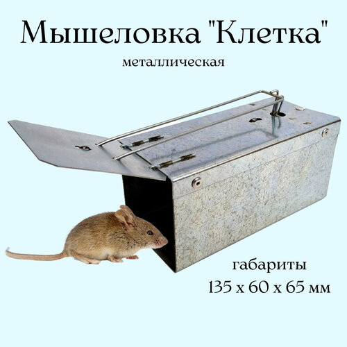 Мышеловка Клетка металлическая 135х60х65мм мышеловка металлическая давилка 60 х 120 мм 4шт