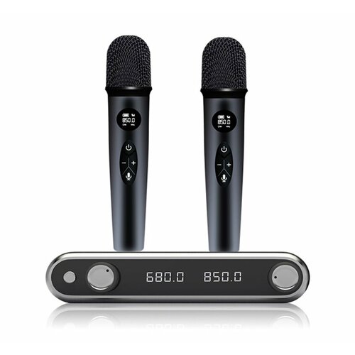 Радиомикрофоны AveryStar AS-211 с ЭХО