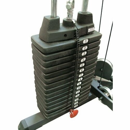фото Дополнительный груз body-solid sp50 - 22,5 кг к стеку (5 плашек)