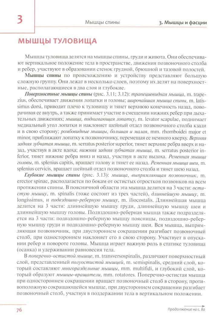 Универсальный атлас анатомии человека. Учебное пособие для студентов медицинских учебных заведений - фото №3