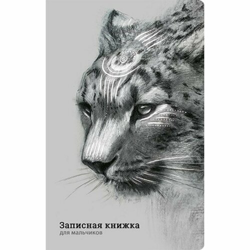 Записная книжка для мальчиков А5, 56 листов, Ирбис, картонная обложка, ламинация софт-тач, выборочный лак, блок офсет 65г/м2 (комплект из 12 шт) записная книжка для мальчиков а5 56 листов ирбис картонная обложка ламинация софт тач выборочный лак блок офсет 65г м2