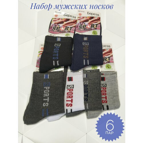 Носки Береза, 6 пар, размер 41/47, мультиколор