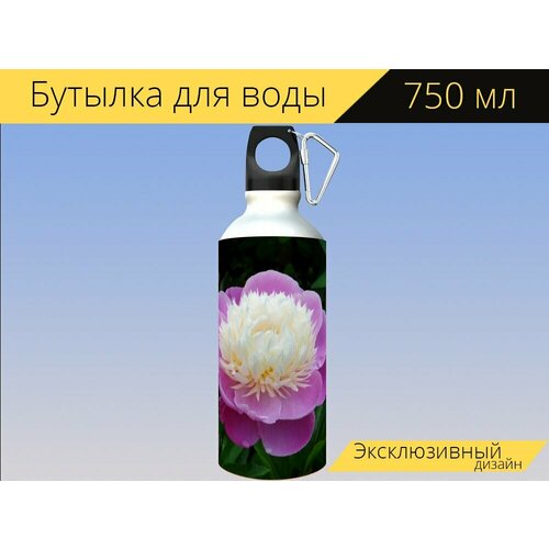 Бутылка фляга для воды "Пион, розовый белый пион, цветок" 750 мл. с карабином и принтом