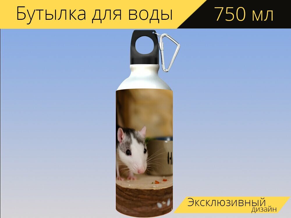 Бутылка фляга для воды "Крысы цветные крысы милый" 750 мл. с карабином и принтом