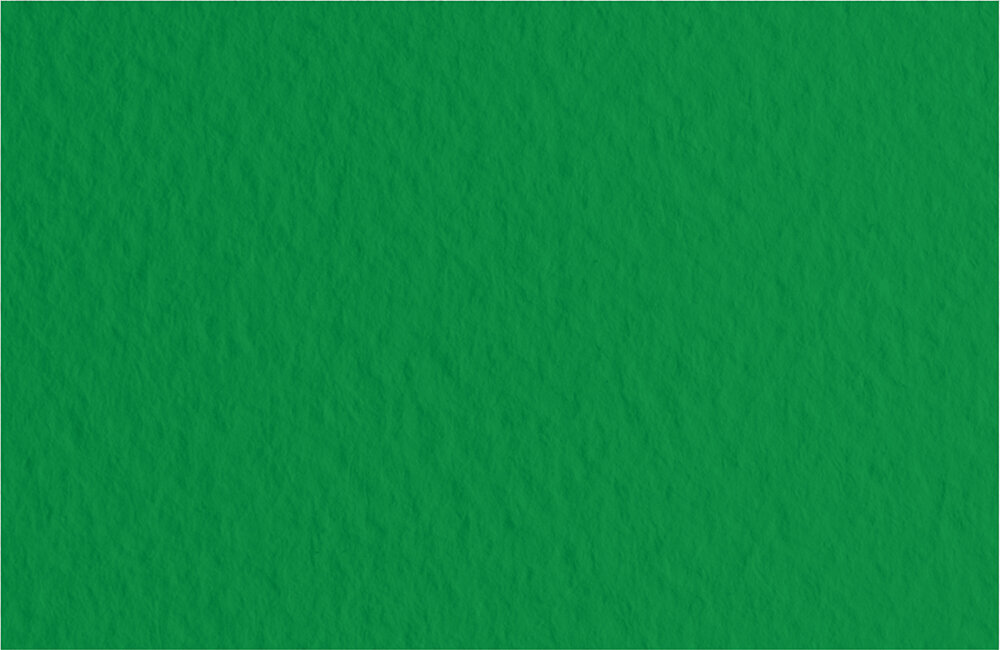 Бумага для пастели "Fabriano" "Tiziano" 160 г/м2 A4 21 х 29.7 см лист 21297137 Biliardo/Темно-зеленый