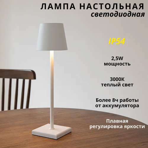 FEDOTOV Беспроводная настольная лампа светодиодная с аккумулятором FED-0053-WH