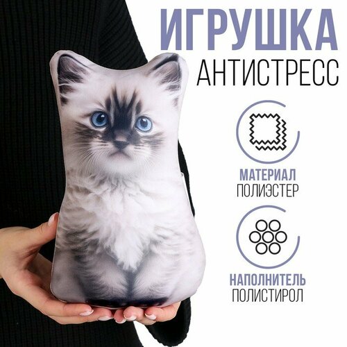 игрушка антистресс котик 7321127 Антистресс игрушка «Котик Рэгдолл»