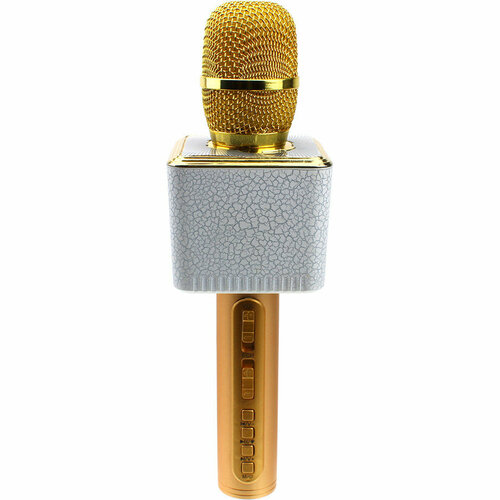 Микрофон караоке SD-08 USBmicroSD встроенная колонка var 2 145000₽