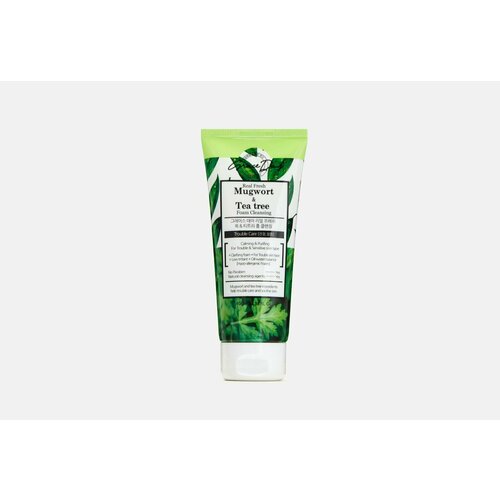 Пенка для умывания Mugwort & Tea Tree Foam Cleanser пенка для умывания grace day успокаивающая с экстрактами полыни и чайного дерева 100мл