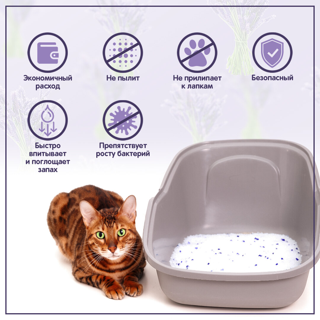 Наполнитель для кошачьего туалета HOMECAT - фото №12