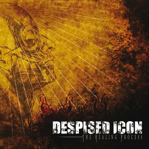 Виниловая пластинка Despised Icon / The Healing Process (LP) frank zappa don t eat the yellow snow down in de dew unreleased alternate mix [7 ] [vinyl]