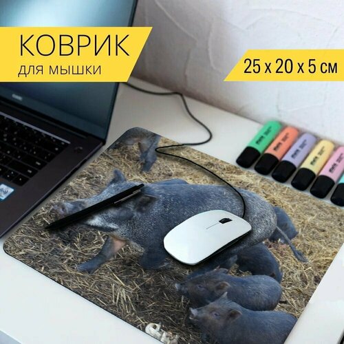 Коврик для мыши с принтом Свинья, животное, животные 25x20см.