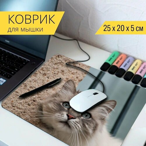 Коврик для мыши с принтом Кошки, кошачьи, симпатичные 25x20см.