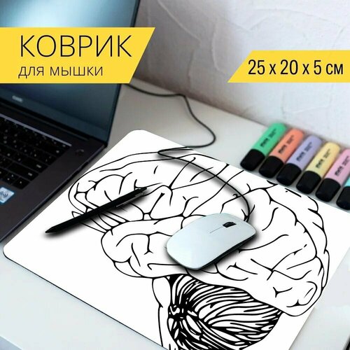 стол головной мозг орган мозговой 65x65 см кухонный квадратный с принтом Коврик для мыши с принтом Головной мозг, человеческий мозг, анатомия 25x20см.