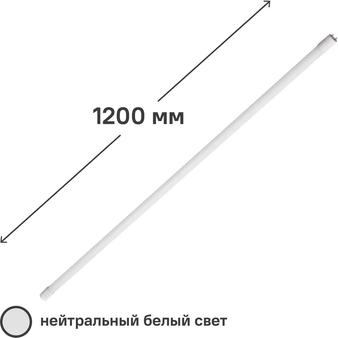 фото Лампа светодиодная Volpe T8 G13 220-240 В 18 Вт туба матовая 2000 лм нейтральный белый свет