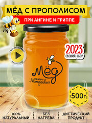 Мёд с прополисом, 500 г