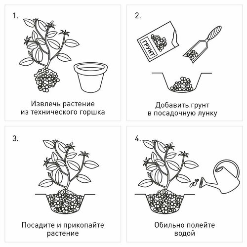 Торф верховой нейтрализованный Veltorf 50 л