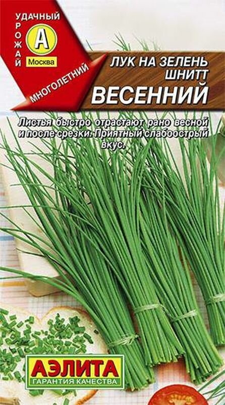 Семена Лук на зелень шнитт Весенний (многолетние) (Аэлита) 0,5г