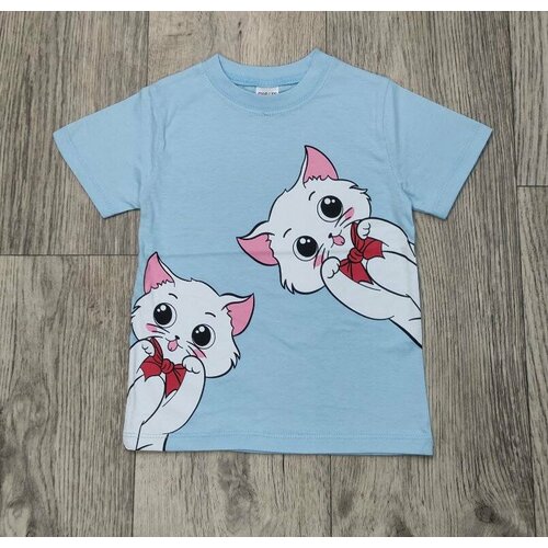 Футболка CHASTE KIDS, размер 4 года, 104 см, голубой