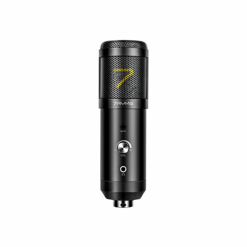 Микрофон вокальный 7Ryms SR-AU01-K1 1372500₽