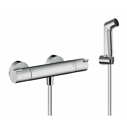 Гигиенический душ с термостатом Hansgrohe Ecostat CL, хром