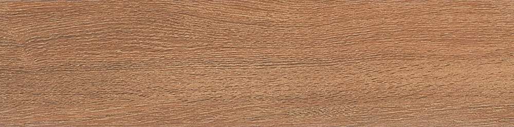 фото SG400200N Вяз коричневый 9.9*40.2 керам. гранит