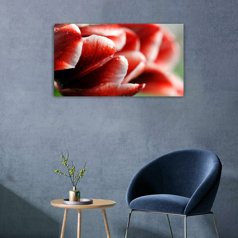 Картина на холсте 60x110 LinxOne "Бутон, цветок, капли, красный" интерьерная для дома / на стену / на кухню / с подрамником
