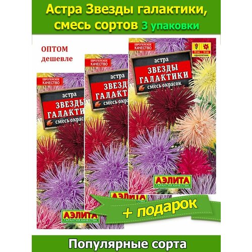 Семена Астра Звезды галактики, смесь сортов 3 упаковки