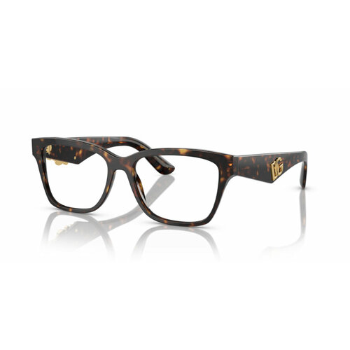 Dolce & Gabbana DG 3370 502