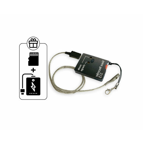 Диктофоны цифровые Soroka-153 Luxe P42612SOR 2 подарка Power Bank 10000 mAh SD карта 32ГБ - автоматическая запись по звуку и расписанию - м 1650700₽