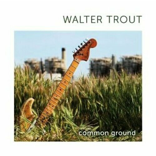 Виниловая пластинка Walter Trout - Common Ground - Vinyl. 1 LP