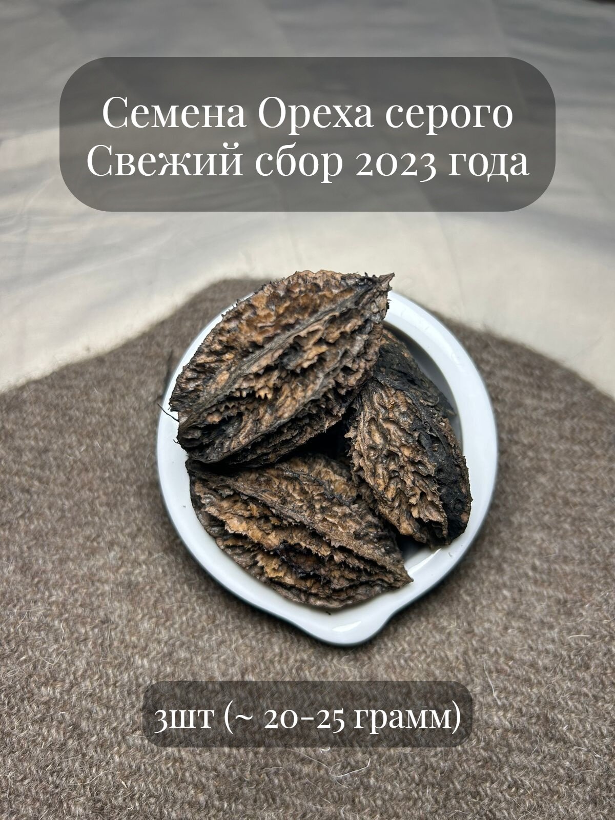 Семена Ореха серого, 3шт