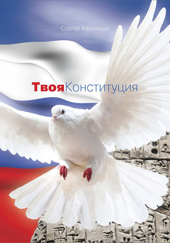 Твоя Конституция (Ефремцев Сергей Викторович) - фото №2