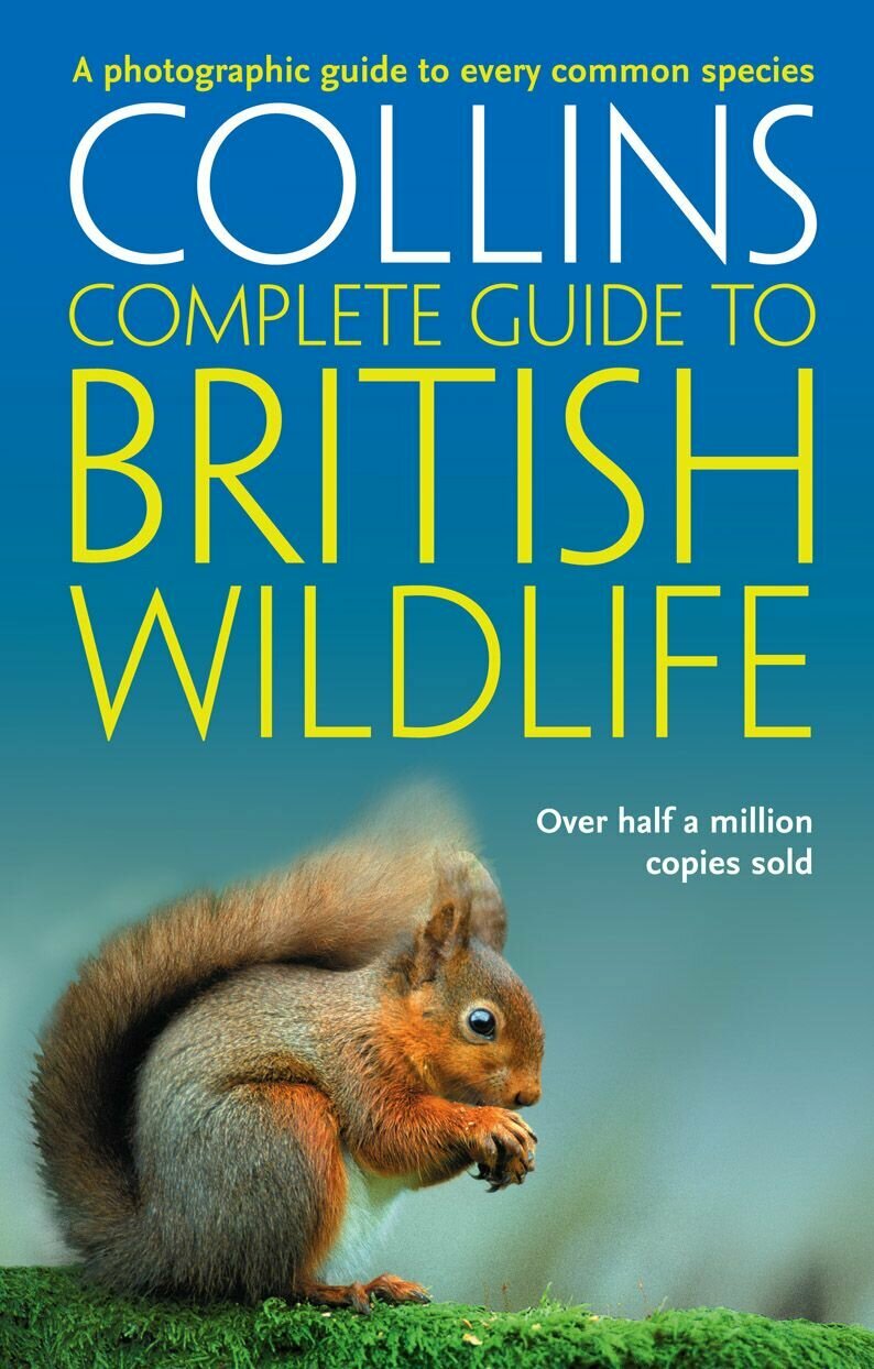 British Wildlife. A photographic guide to every common species - фото №1