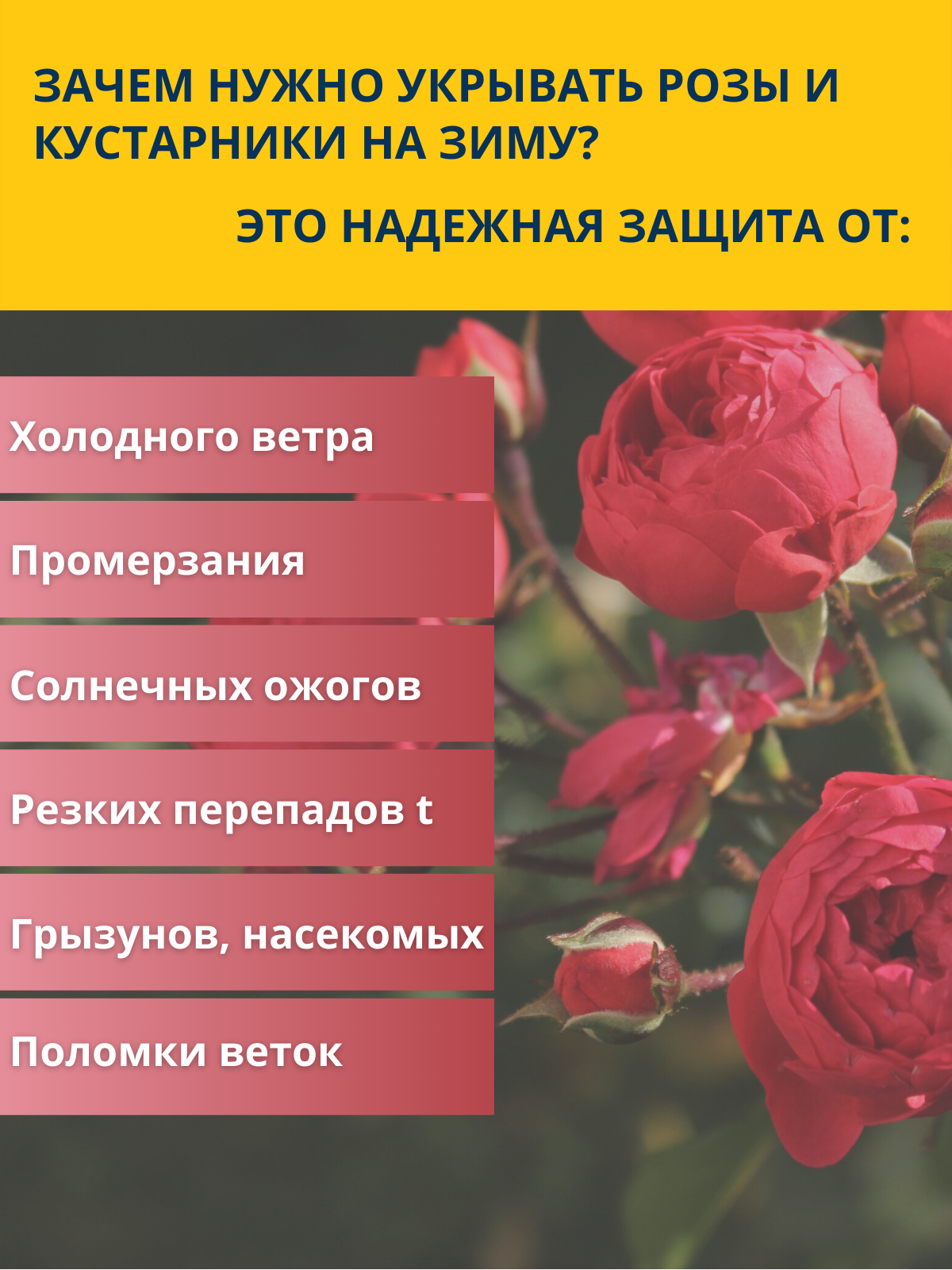 Изображение Укрытие для растений на зиму с опорами 0.8х1.0 м Прекрасный сад, 3 шт