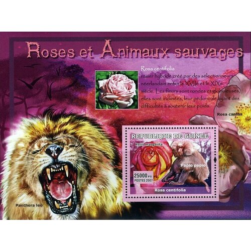 Почтовые марки Гвинея 2007г. Фауна - Обезьяны, Цветы Цветы, Обезьяны, Львы MNH