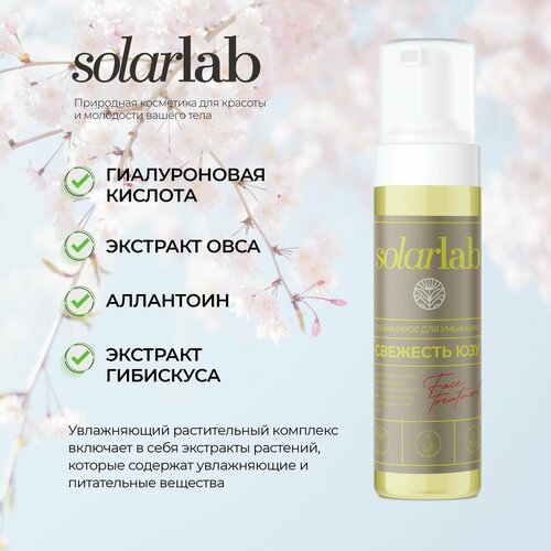 Очищающая пенка-мусс для умывания SolarLab cosmetics 