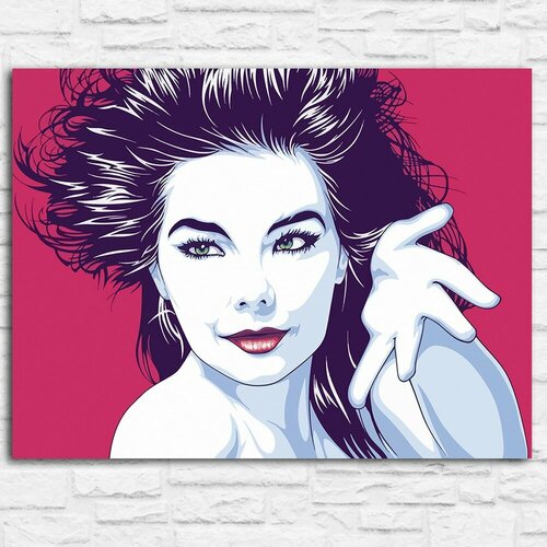 Картина по номерам на холсте музыка Бьорк (Bjork, электронная музыка) - 13744 Г 30x40