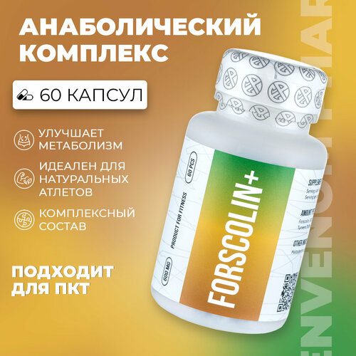 Пищевая добавка Envenom Pharm Forscolin+ / Бустер для роста мышц / 60 капсул