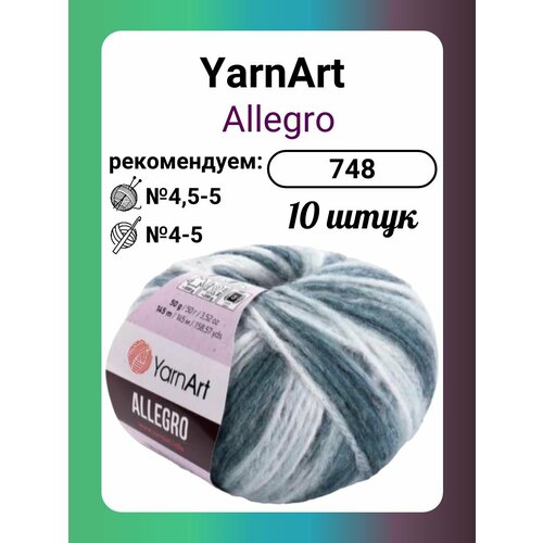 Пряжа YarnArt Allegro 748, 50 г, 145 м, 10 штук