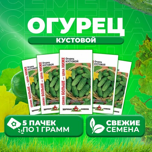 Огурец Кустовой, 1,0г, Удачные семена, Семян больше (5 уп)