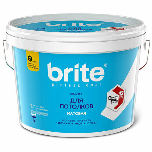 Brite Professional Ti Pure Quality Брайт профессиональная супербелая краска для потолков