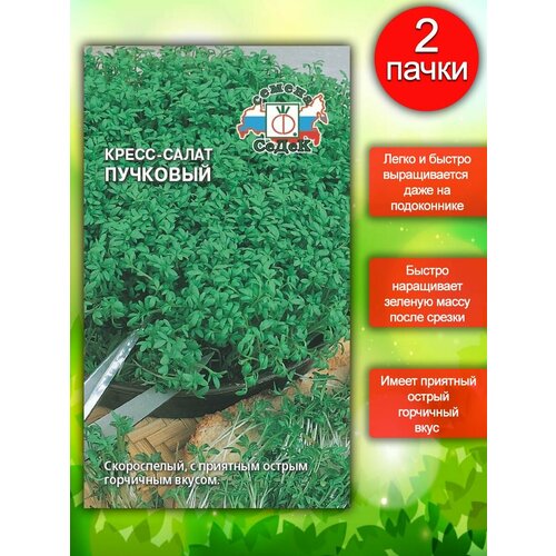 Семена Салат Пучковый (Кресс) 2 пакета. семена кресс салат пучковый седек 1гр