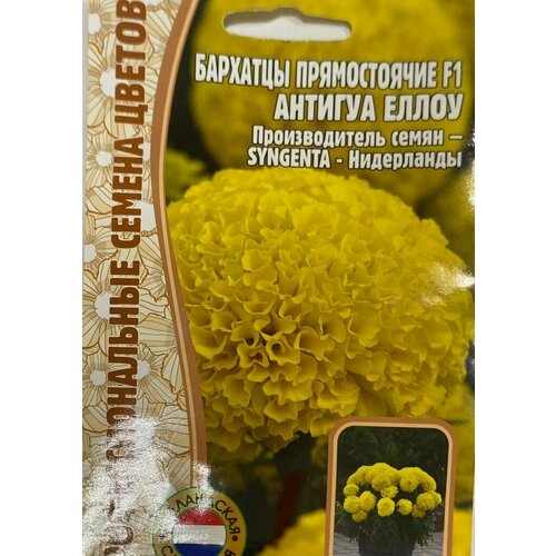 Бархатцы прямостоячие Antigua Yellow F1 5 шт редкие семена (2шт в заказе)