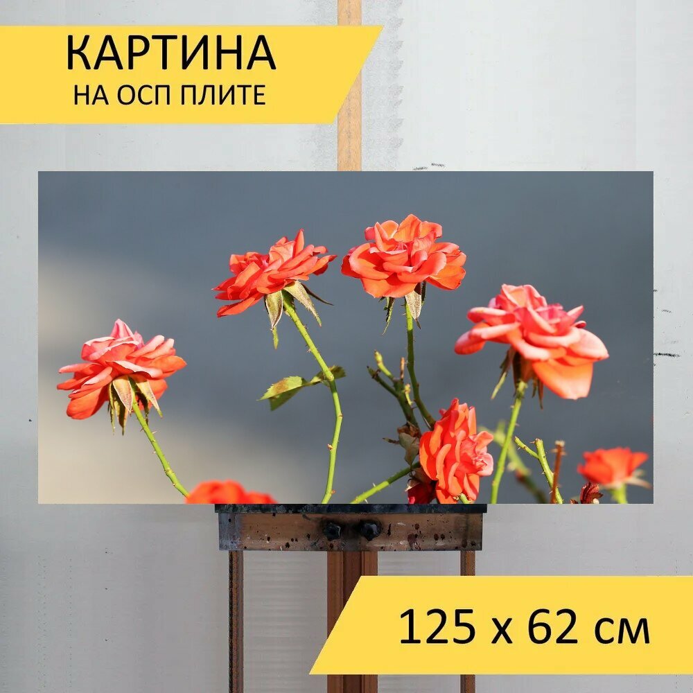 Картина на ОСП 125х62 см. "Красные розы, цветок, блум" горизонтальная, для интерьера, с креплениями