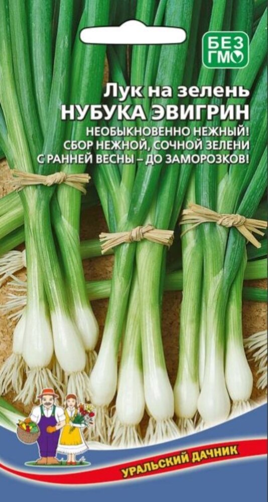 Семена Лук на зелень Нубука Эвергрин 025г Поздние (Уральский Дачник)