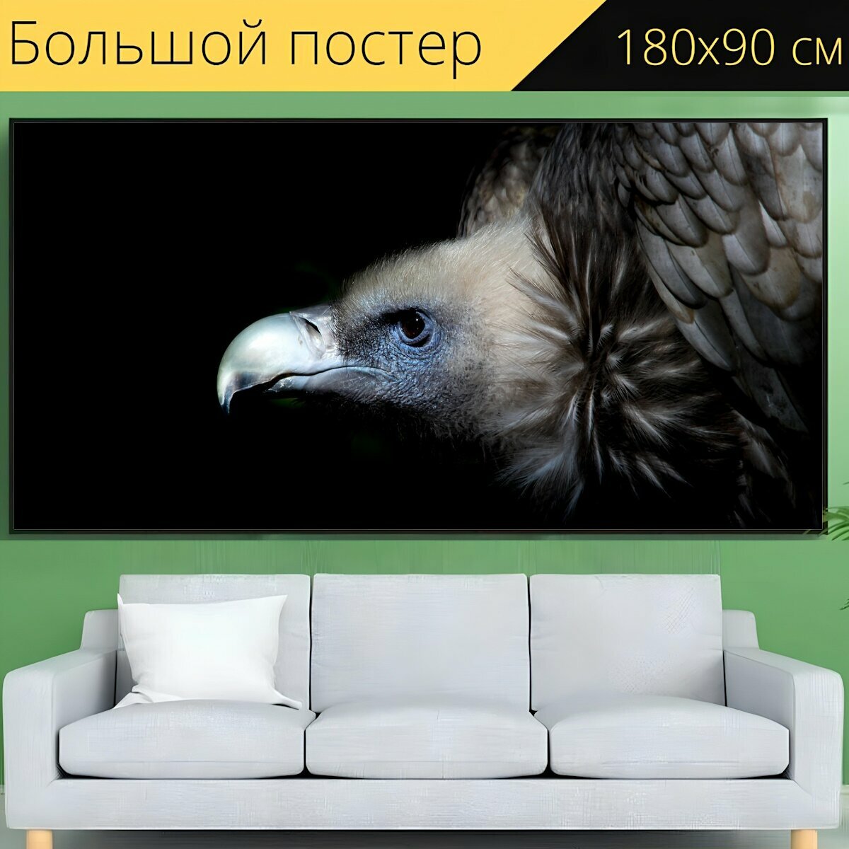 Большой постер "Гриф, стервятник, птица" 180 x 90 см. для интерьера