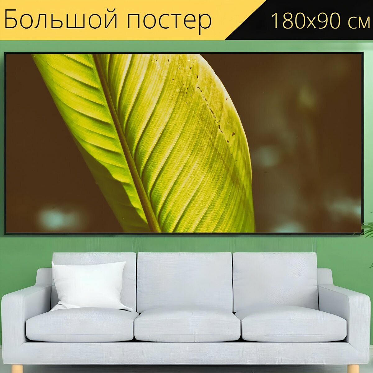 Большой постер "Банановый лист, завод, зеленый" 180 x 90 см. для интерьера